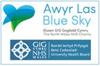 Awyr Las Blue Sky, Betsi Cadwaladr University Health Board Charity